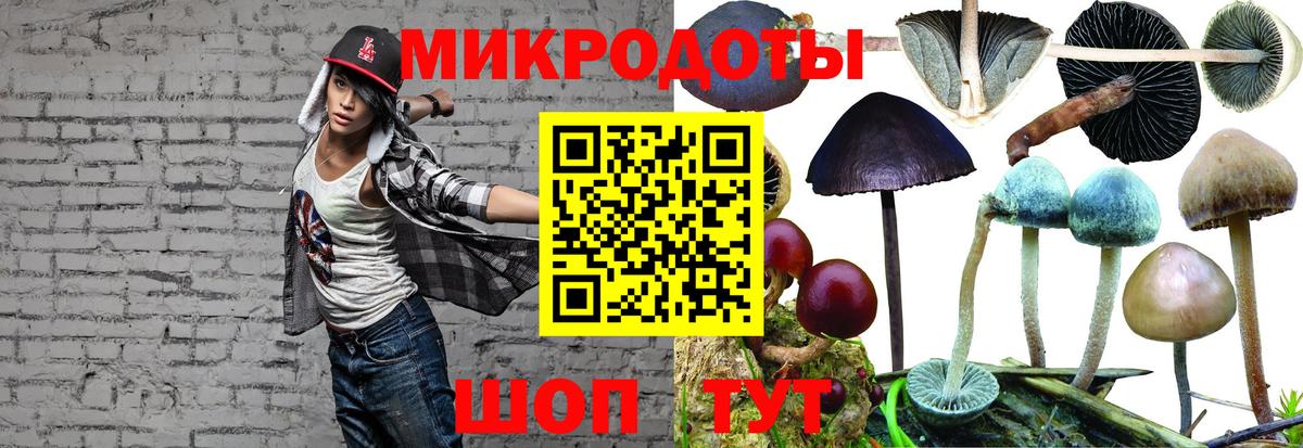 дарнет шоп  Вход с VPN  Обь  Галлюциногенные грибы GOLDEN TEACHER 